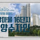 세종에듀투어 이미지