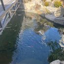 주주실내낚시클럽 | [전주] 평화동 아이와 함께 즐기는 실내 동물체험 카페 아쿠아주주 – 방문 후기