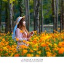 도리 경로당 이미지