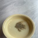 다맛 | [부산 하단 동아대 맛집 추천 다맛]졸업생이 추천하는 추억의 돈까스 맛집
