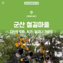 군산 경암동 철길마을 주차, 시간, 달고나 까지 완벽 가이드