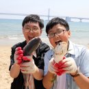 광안리어방축제 이미지