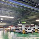 오브영 | 제주• 갑자기 여권사진 찍고 여권발급까지 한 제주살이 하루: 피스오브영 후기