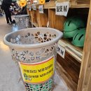 [내돈내산] 고양 고고랜드롤러스케이트장 이용 후기