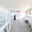 도그도담 이미지