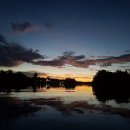 두손모아 반딧불이 이미지