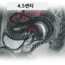 경희본한의원 이미지