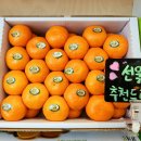 화월농장 이미지