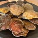 조개반장 이미지