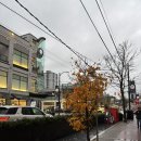 [12월 2주] 🇨🇦 어학연수 노스벤쿠버 크리스마스/ 샌프란시스코 1박 2일 가볼 곳/ 다사다난한 미국 출국하기