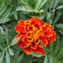 김정일정신건강의학과의원 이미지