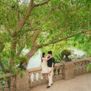 깡패고양이 파주점 | 경기도 전세에 대기업다니는 한대리 이야기, 자가 마련 성공