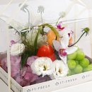 칠성과일 이미지