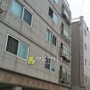 독정이로 이미지