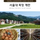 서울대학교 농업생명과학대학 실험목장 이미지