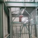 크린환경사료 이미지