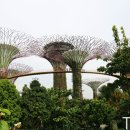 가로등슈퍼 이미지