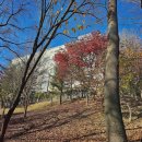 용인시기흥구치매안심센터 | [요양원리뷰] 해피누리요양원, 안심할 수 있는 용인요양원비용