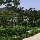 유성구대동보건진료소 이미지