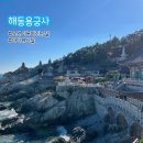 한가지 | 바다 뷰 사찰 부산 기장 해동용궁사 : 소원 한 가지를 이루어 준다는 절 다녀온 후기