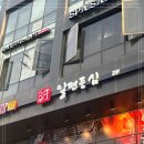 일편등심 이미지