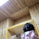 주식회사 스카이시티아림식자재 | 거창펜션 거창 반값여행 지원받아 다녀온 풍차마을펜션 2박3일 솔직후기