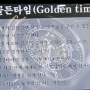 골든피누스 네이버블로그
