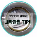 크린가가 이미지