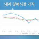 2024/07/17 지육가 5,413 원 이미지