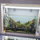 아쿠아 커피연구소 이미지