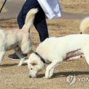 송강동물병원 연합뉴스