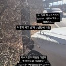 허안나 카카오 검색결과