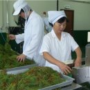 다사랑수산 이미지