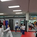 엘리트석사태권도 이미지