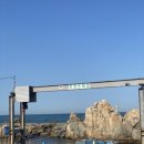 동남횟집 - 강서구 신포길 11-3 | 동남횟집