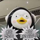 빵야빵야🐧⏰️💙 이미지