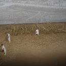 기지시줄다리기박물관 이미지