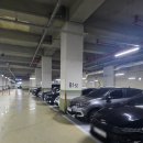 동백식탁 - 여수시 | 용인맛집 동백식탁 문전성시 이루는 곳 내돈내산 솔직후기