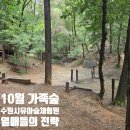 주정차-22 | 수원시 운영 무료숲체험 후기:) 반딧불이유아숲체험원