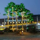 파라다이스스파 이미지