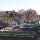 황룡마을 이미지