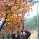 태천농장 이미지