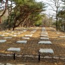 동고마을 이미지