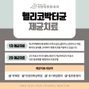 호기내과 네이버블로그
