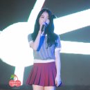콘서트7080미사리 이미지