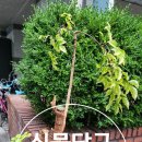 해피온스테이 이미지