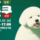 한국베링거인겔하임동물약품(주) 이미지