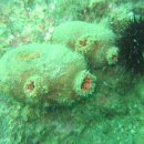 레저클럽 이미지