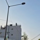 캐칭덕 오락실 부평점 | [서울 서촌] 대만 밀크티 더정 우롱티프로젝트 내게 맞는 음료 고르기!