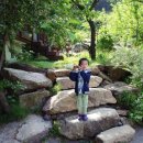 소백계곡민박 이미지